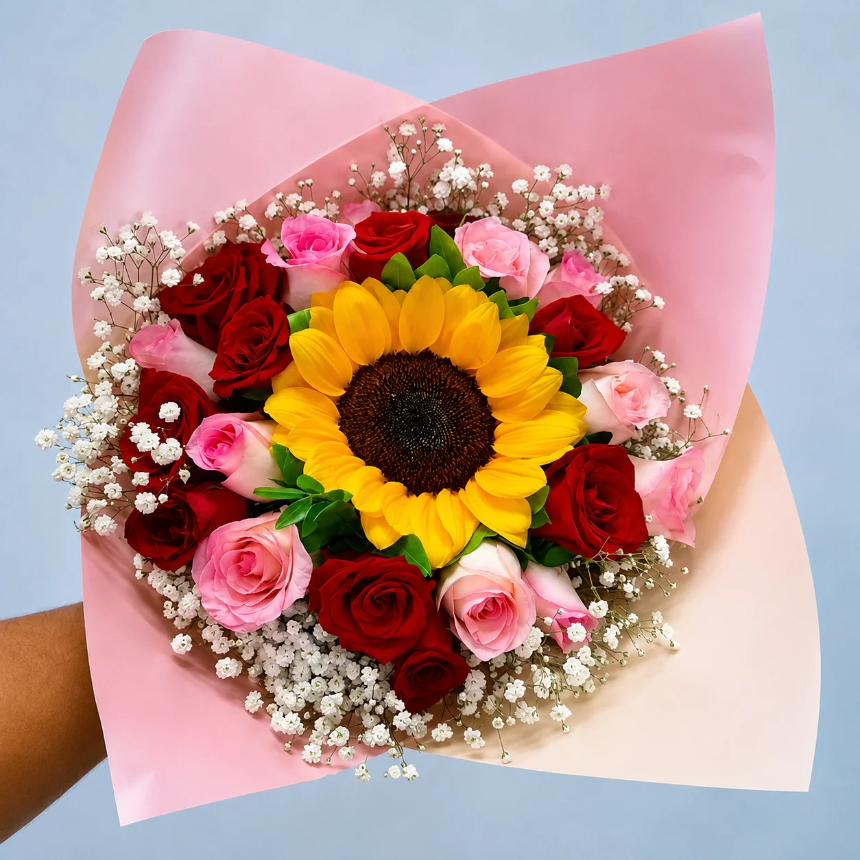Girasol Encanto Rosado